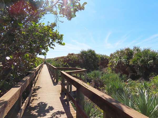 Board Walk