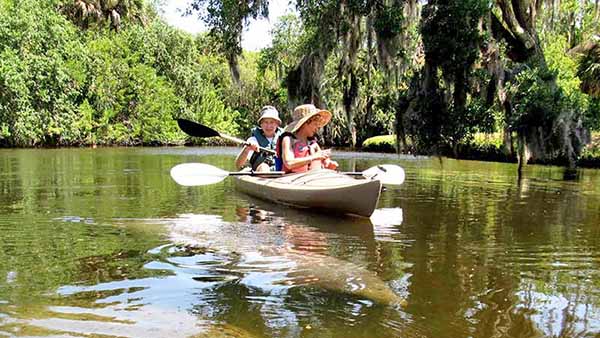 Crane Creek kayaking with manatees.