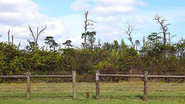 Wood Post Fence in front of sanctuary