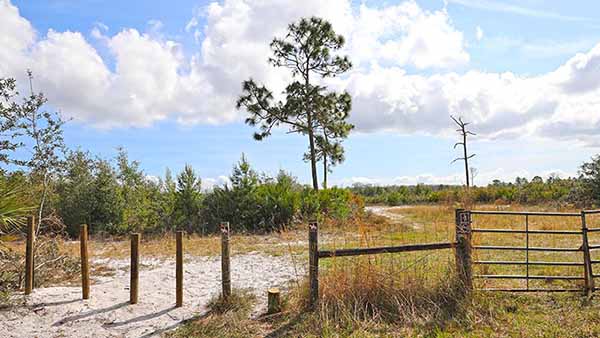 Entrance to North Buck Lake Scrub Sanctuary