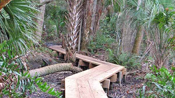 Pine Island Conservation Area Boardwalk