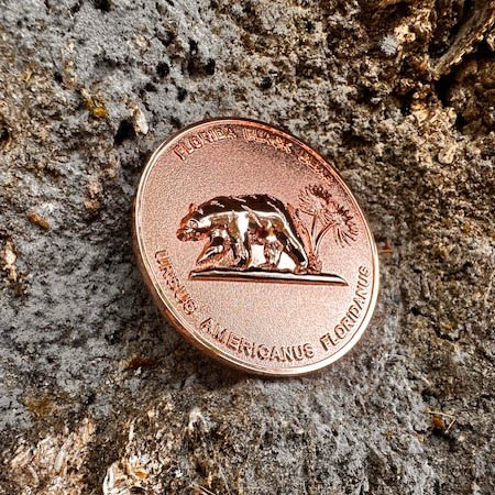 2024 Black Bear Coin