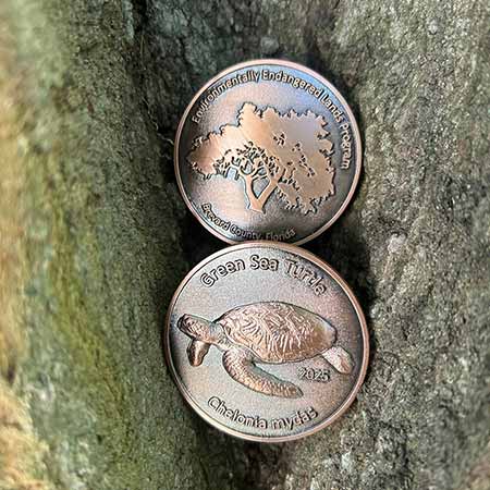 2024 Black Bear Coin