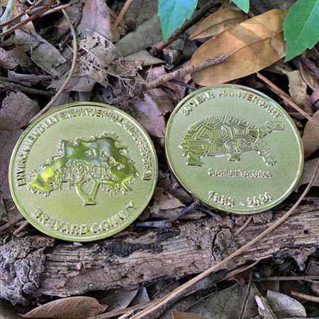 Coins 2 coins on the ground