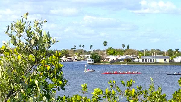 Rowing team practicing on Sykes Creek