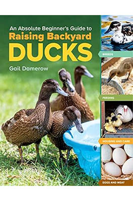 Raising Backyard Ducks Book Cover