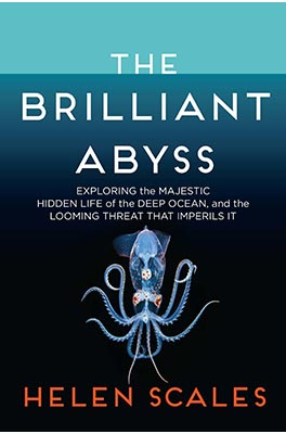 The Brilliant Abyss Book Cover
