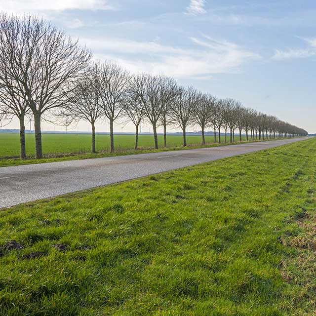 Swale on side of road.