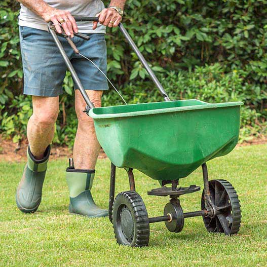 Man fertilizing lawn.