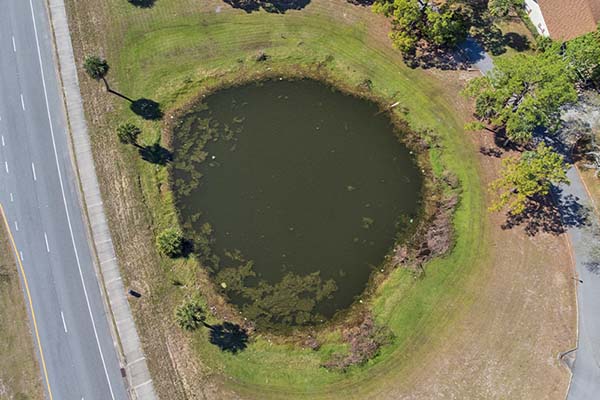 Drone shot of pond from above