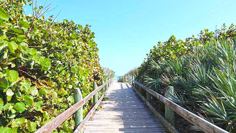 Boardwalk leading to beach