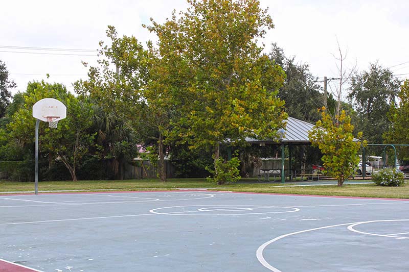 Basketball court