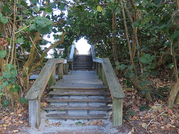 Beach access steps