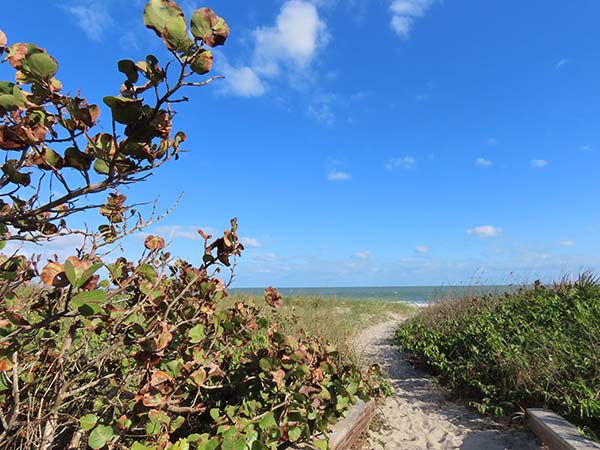 The beach at Cherie Down Park