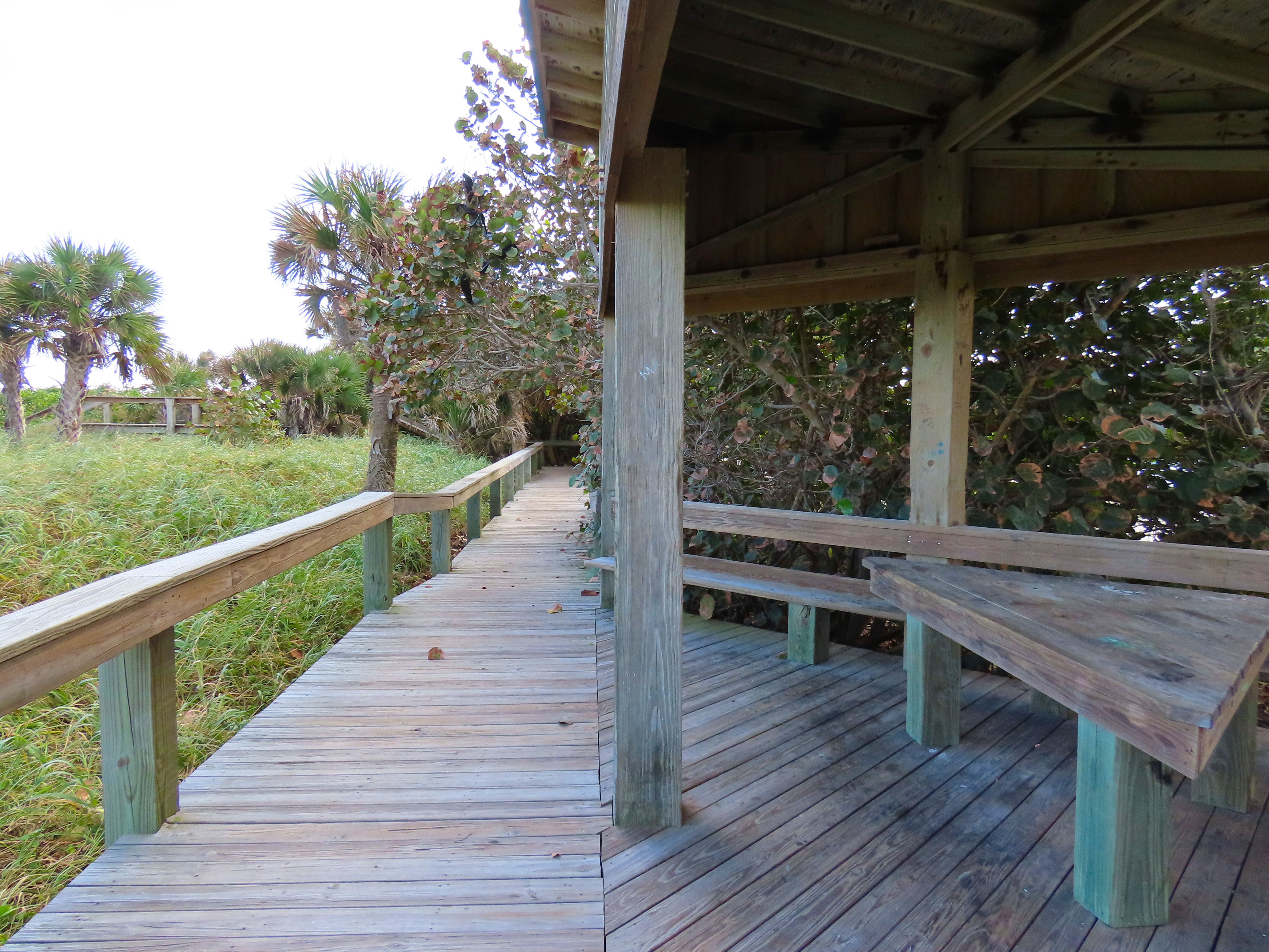 Covered Picnic Area