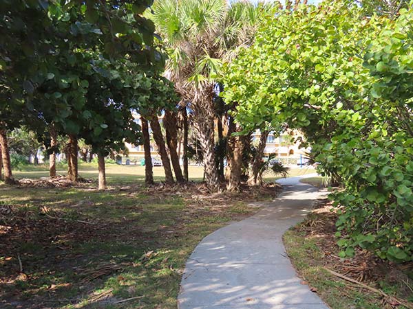 Walking path Walking path