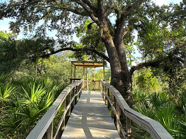 Wood Walkway