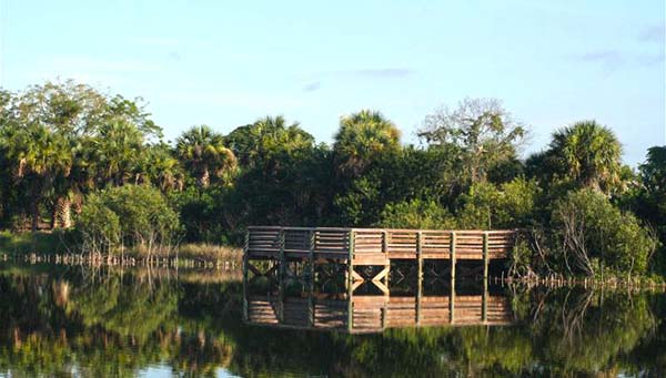 Dock on the water