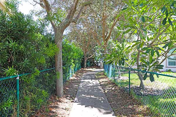 Wooded pathway.