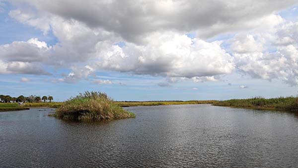 Saint Johns River