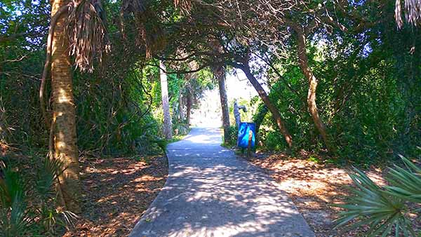 Path through trees