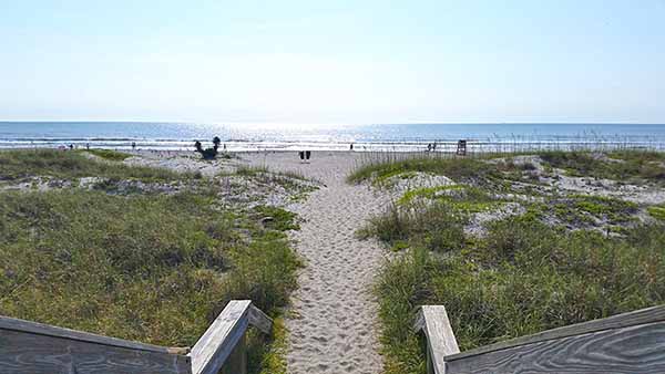 Beach dunes