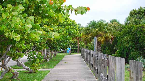 Side Walk