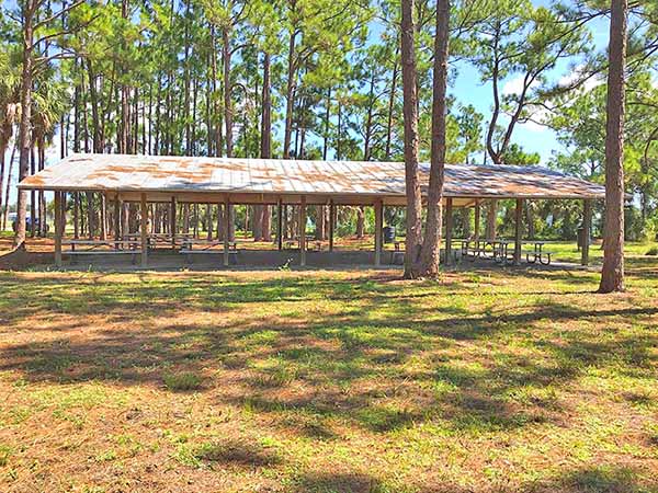 Pavilion surrounded by trees   