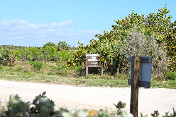 South Beach Community Park Habitat