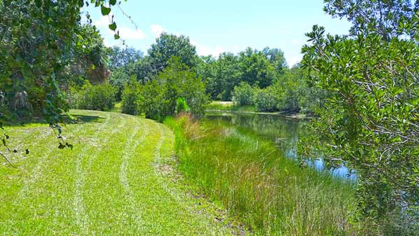 Greenspace by water