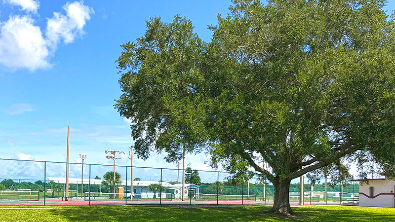 Lighted Tennis Courts