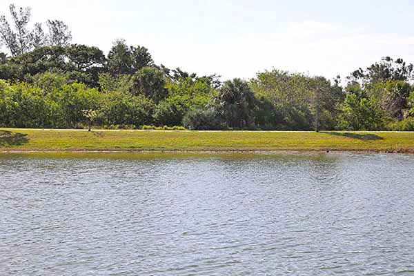 South Beach Community Park Pond