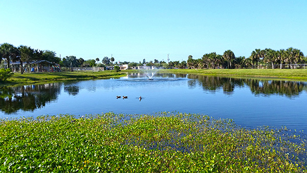 Pond with fountain