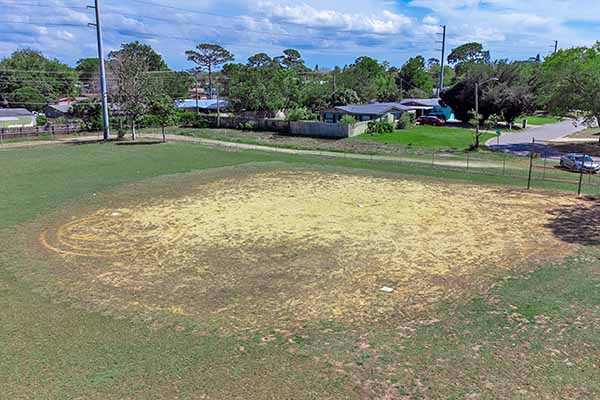 Softball field