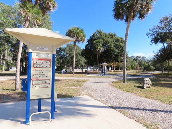 Swings and Playground