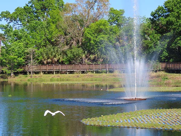 Fountainin lake