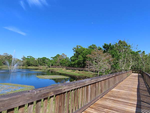 Wooden boardwalk crossing lake