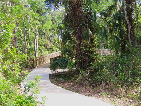 Paved pathway leading to wooden boardwalk