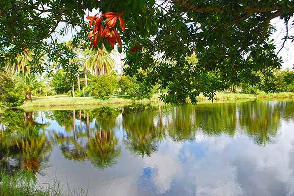 Pond Pond