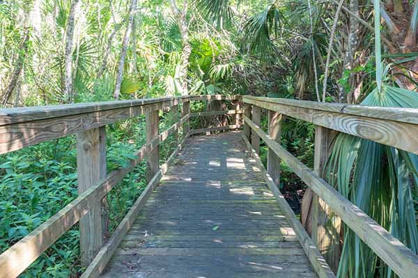 Nature trail boardwalk.