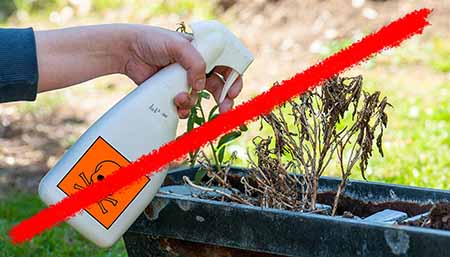 Line striking through plastic bottle of pesticide