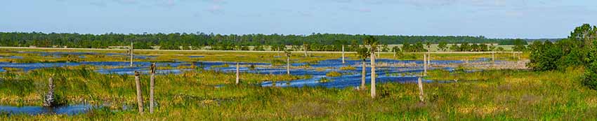 Viera Wetlands